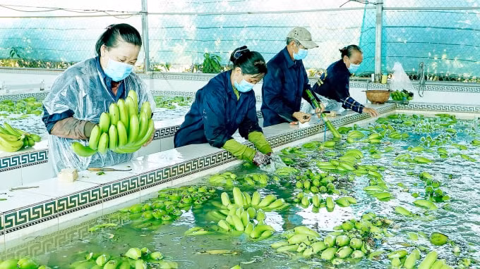 san xuat nong thuy san can them cac giai phap trong tam de vuot qua kho khan hinh 1