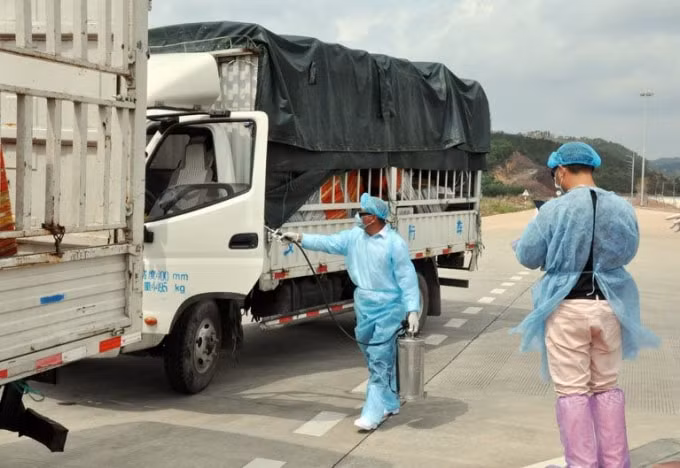 trung quoc tam ngung nhap khau thanh long viet nam qua cua khau cau phao tam dong hung hinh 1