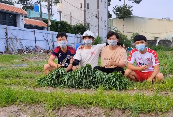 nhom sinh vien 9x khai hoang 2000m2 dat trong trong rau dem tang nguoi dan hinh 1