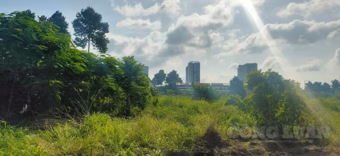 nhom sinh vien 9x khai hoang 2000m2 dat trong trong rau dem tang nguoi dan hinh 4
