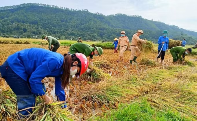ha tinh tap trung cao nhat ung pho voi bao conson hinh 2