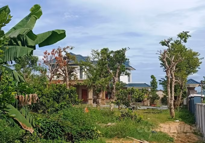 biet thu nup bong nha dieu hanh trang trai tren dat nong nghiep hinh 1