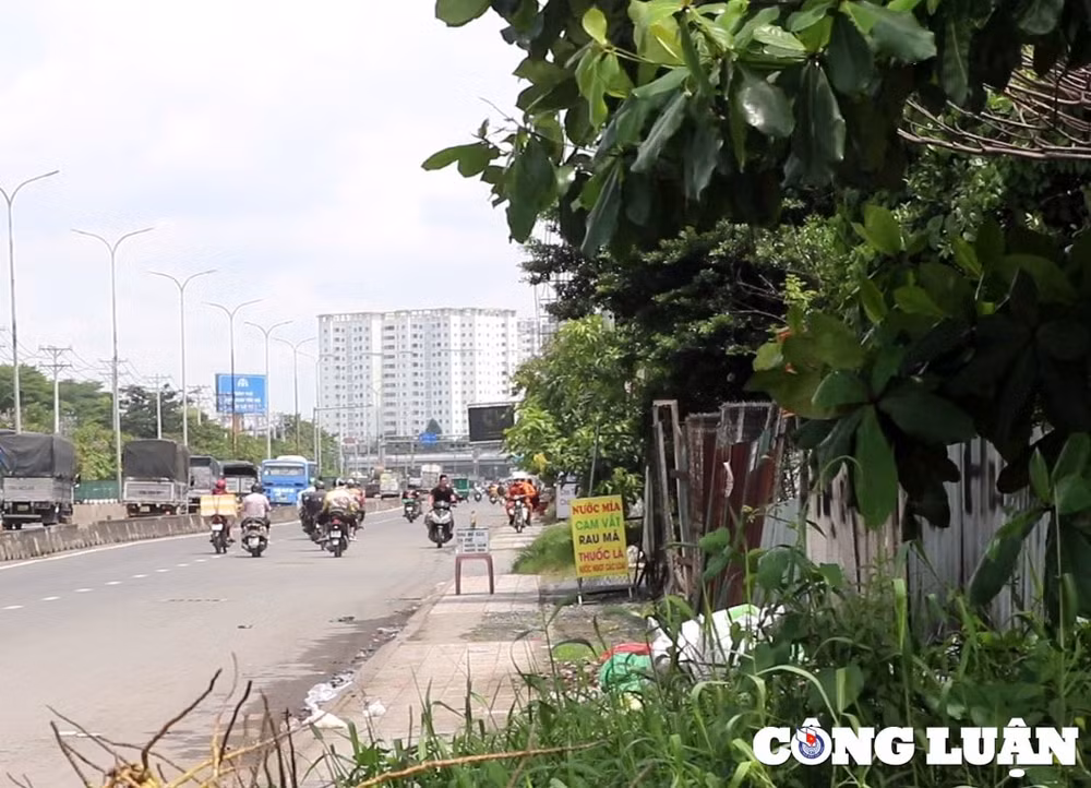 khong lo bi phat nhieu nguoi van chon di nguoc chieu sai lan de nhanh hon hinh 7