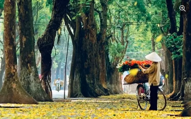 du lich viet nam de lai dau an lon voi truyen thong quoc te hinh 1