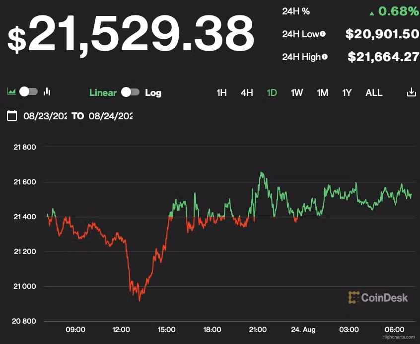 gia bitcoin hom nay 24 8 tang nhe quanh 21500 usd hinh 1