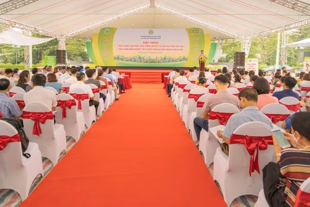 ha noi day manh lien ket theo chuoi tu san xuat den tieu thu san pham nong nghiep hinh 1