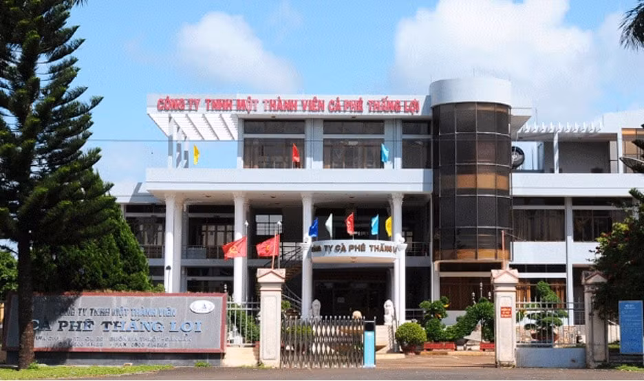 ca phe thang loi cfv thua lo co phieu van tim tran 7 phien gia tang bat thuong 122 chi sau 1 tuan hinh 1