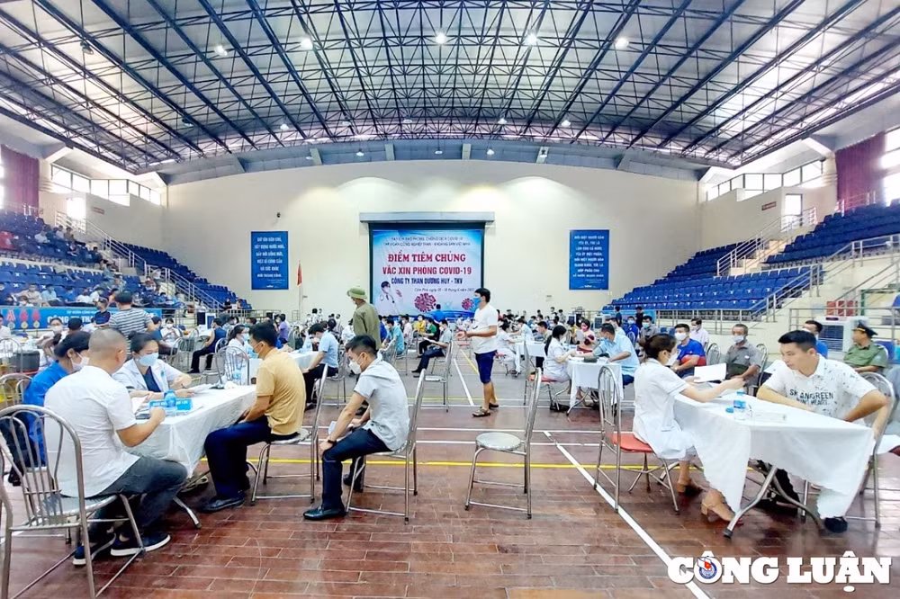 quang ninh sap hoan thanh tiem vac xin cho tre tu 5 den duoi 12 tuoi hinh 1