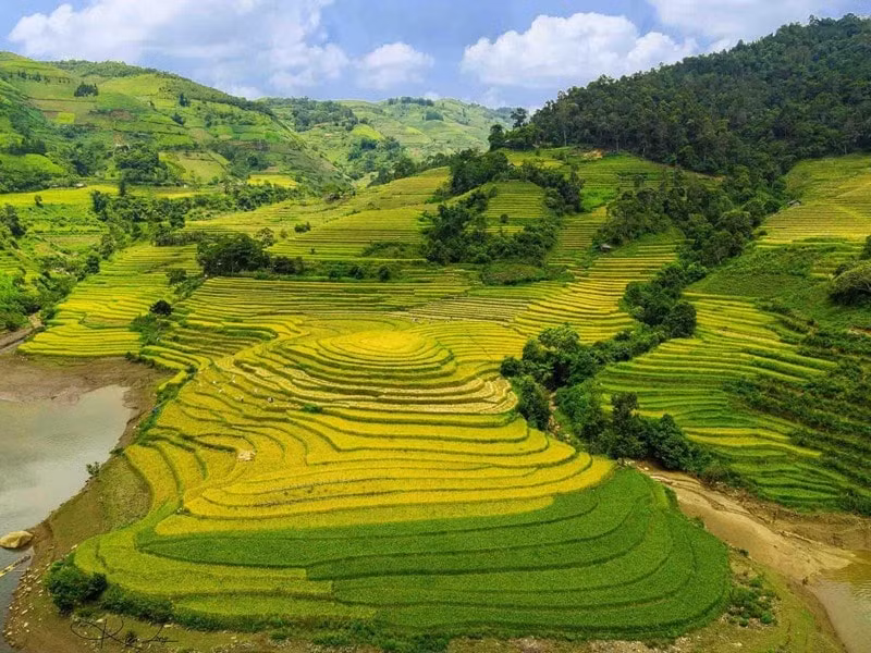dep me hon nhung canh dong lua chin vao thu hinh 1