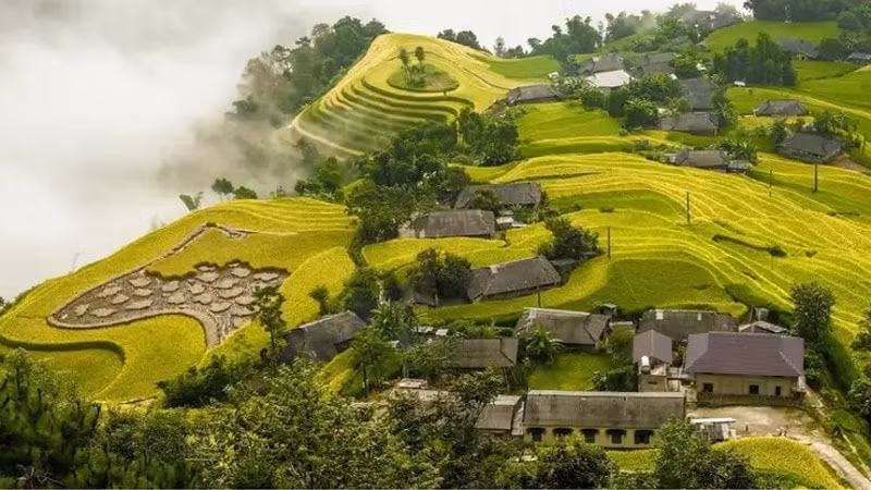 dep me hon nhung canh dong lua chin vao thu hinh 3