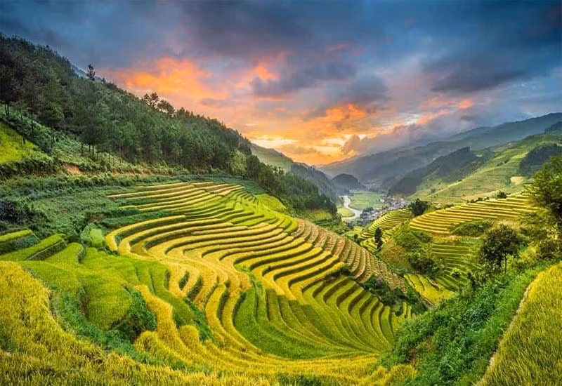 dep me hon nhung canh dong lua chin vao thu hinh 6