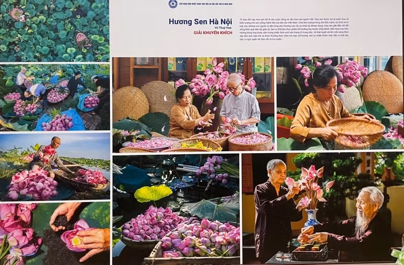 11 tac pham doat giai lien hoan anh nghe thuat ha noi 2022 hinh 3
