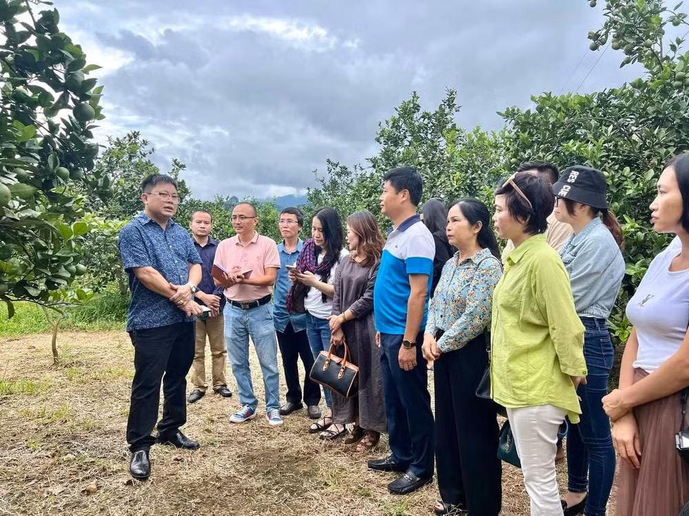 hoi nha bao nghe an to chuc chuyen di thuc te cho phong vien tai mien nui huyen con cuong hinh 1