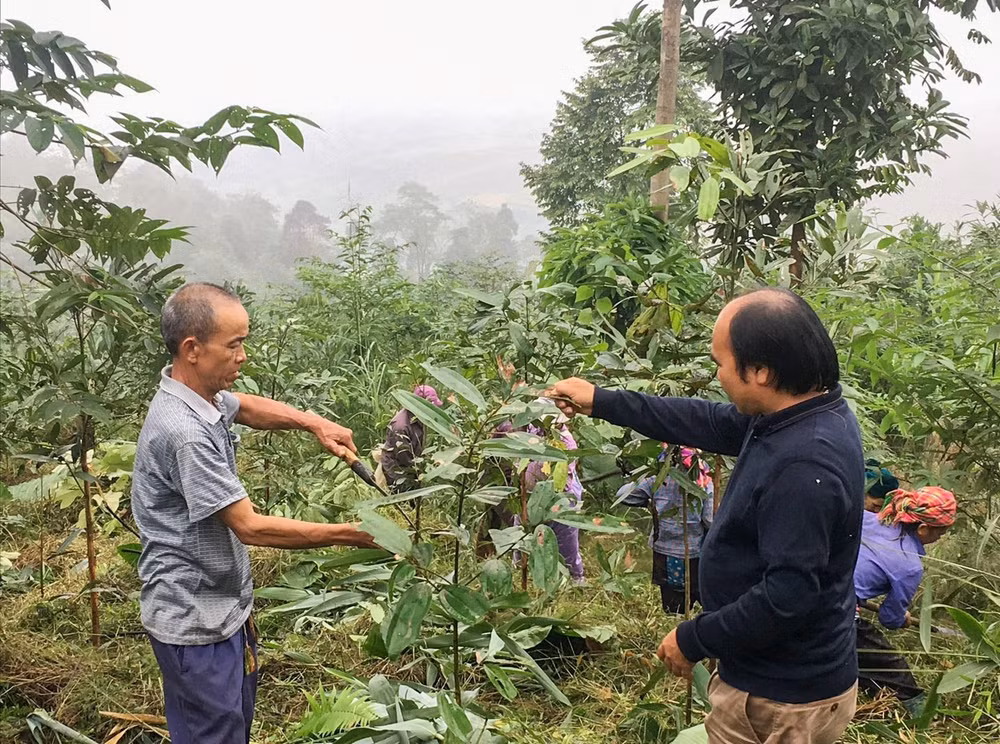 lao cai phat trien nong nghiep theo huong ben vung dung dau ve nong nghiep huu co hinh 1