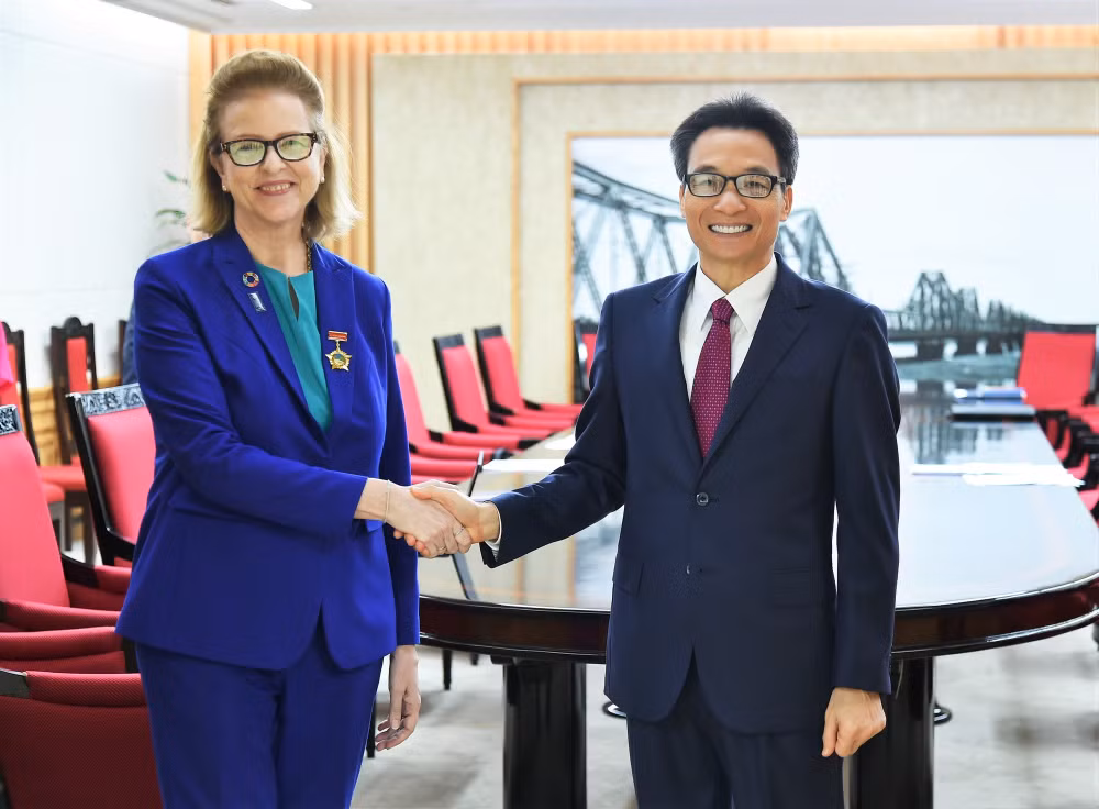 mong muon undp giup viet nam tang kha nang ung pho voi cac dich benh trong tuong lai hinh 1