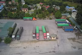 Công ty Cổ phần giống cây trồng và vật tư nông nghiệp Hà Nội sử dụng đất sai mục đích