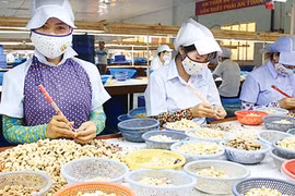 Xuất khẩu hạt điều 'lội ngược dòng' thu về gần 1 tỷ đô