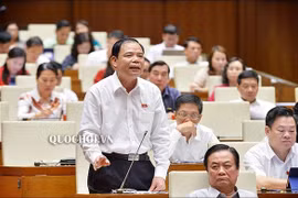 Đại biểu Quốc hội không đồng tình “thịt lợn đắt quá thì chuyển qua ăn thịt gà”