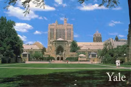 Hai trường đại học hàng đầu thế giới Harvard và Yale bị điều tra