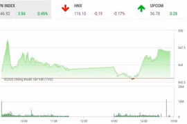 Chứng khoán ngày 13/8: VN-Index duy trì đà tăng