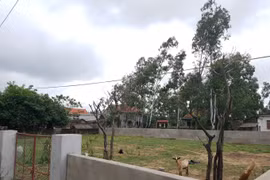 Chính quyền huyện Nghi Xuân chậm trễ trong giải quyết đơn thư của người dân