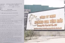 Công ty TNHH Hoàng Gia Yên Bái “nhờn luật”?