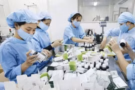 Thủ tướng yêu cầu dự phòng cơ số thuốc chống dịch COVID-19