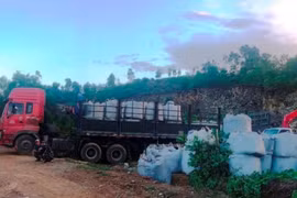 Thanh Hóa: Tập kết chất thải trái quy định, hai công ty bị xử phạt 160 triệu đồng