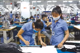 Việt Nam tiếp tục xuất siêu 6,5 tỷ USD trong 7 tháng đầu năm