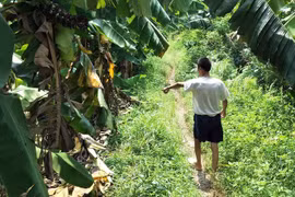Lời khai của nghi phạm hiếp dâm bé gái 12 tuổi ở Hà Nội