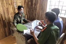 Đắk Nông: Khởi tố, tạm giam đối tượng hủy hoại rừng