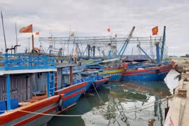 Thủ tướng chỉ đạo triển khai ứng phó khẩn cấp với bão Molave