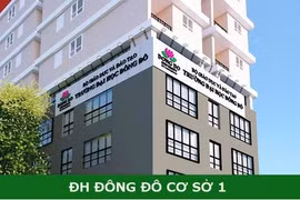 Giáo sư Phạm Tất Dong: “Nên giải thể Trường Đại học Đông Đô”