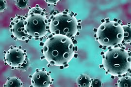 "Virus Corona" đã xuất hiện trên môi trường Internet