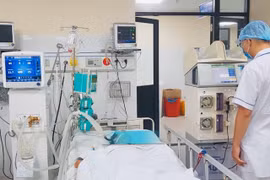 Cảnh giác với vi khuẩn 'ăn thịt người' gây bệnh Whitmore
