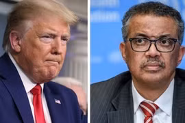 Thế giới phản ứng về quyết định rút tài trợ cho WHO của Trump