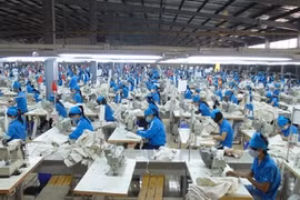 Hiệp định EVFTA chính thức có hiệu lực: Liệu có là cơ hội để “đổi đời”?