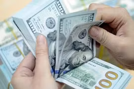 Tỷ giá ngoại tệ hôm nay 4/8: Bật tăng trở lại sau chuỗi ngày 'ảm đạm'
