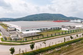 Quảng Ninh: Hầu hết các chỉ tiêu kinh tế - xã hội đều đạt và vượt mức kế hoạch năm 2020