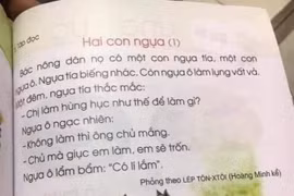 Bộ Giáo dục lý giải về việc không biên soạn sách giáo khoa phổ thông