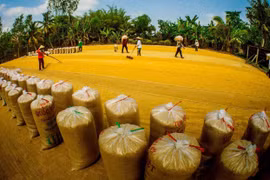 Long đong gạo Việt!