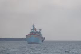 Phạt chủ tàu cá ở Bình Định 900 triệu đồng vì đánh bắt trên vùng biển nước ngoài