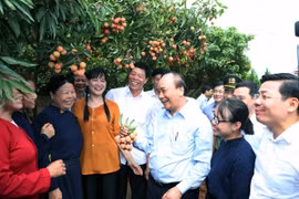 Thủ tướng chia sẻ niềm vui với bà con vùng trồng vải thiều Bắc Giang