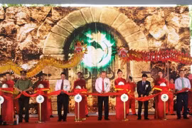 Phó Thủ tướng Trương Hòa Bình: Không có vùng cấm trong xử lý vi phạm về môi trường
