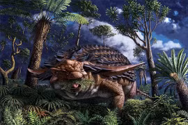 Phát hiện hóa thạch thức ăn trong bụng khủng long Kỷ Phấn Trắng