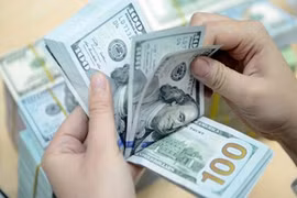 Tỷ giá ngoại tệ hôm nay (23/8): Phục hồi nhưng vẫn ở mức thấp