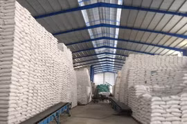 Đã nhập kho dự trữ quốc gia 190.000 tấn gạo và 80.000 tấn thóc