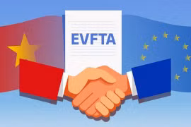 BHXH Việt Nam triển khai thực hiện Hiệp định Thương mại tự do Việt Nam- EU (EVFTA)