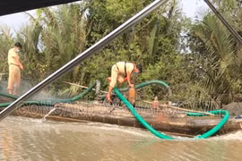 Phát hiện liên tiếp 2 vụ bơm hút cát trái phép trên sông Đồng Nai