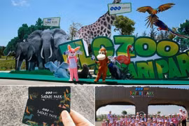 FLC Zoo Safari Park Quy Nhơn - Điểm đến không thể bỏ lỡ trong hành trình khám phá “xứ Nẫu”